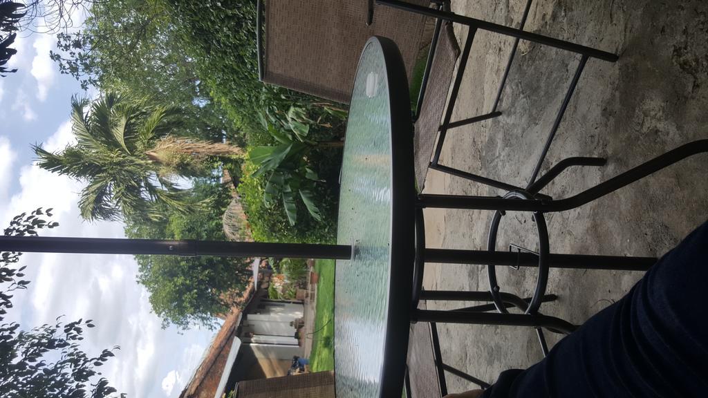 Hostal El Jardin León Extérieur photo