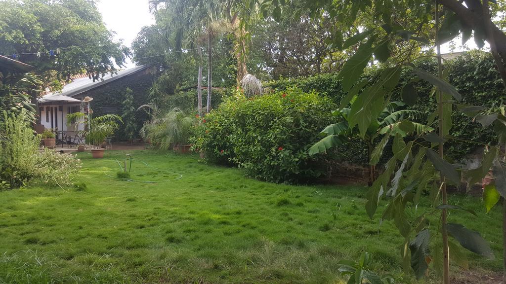 Hostal El Jardin León Extérieur photo