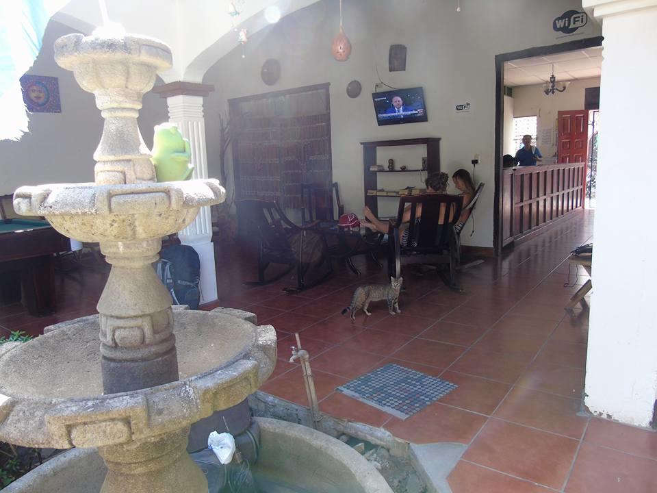 Hostal El Jardin León Extérieur photo